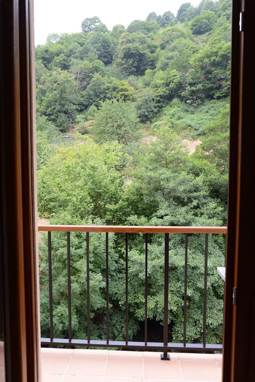 Apartamentos El Rincon De Limes Cangas De Narcea Cameră foto