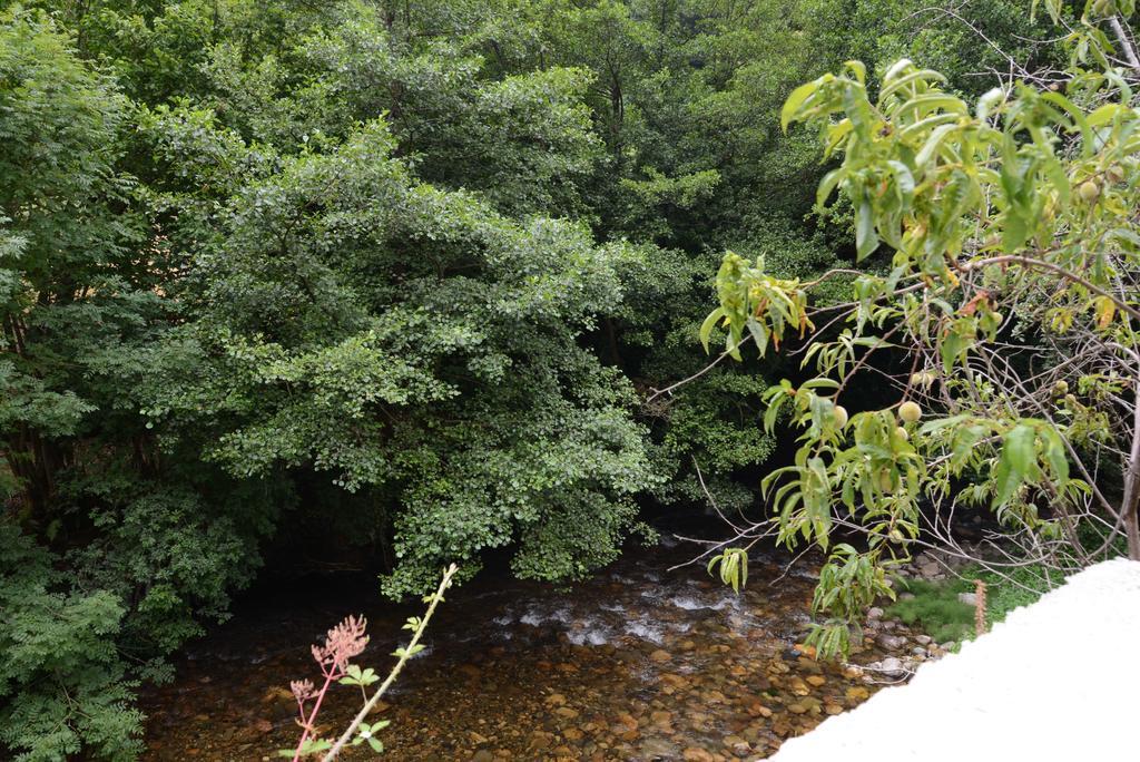 Apartamentos El Rincon De Limes Cangas De Narcea Cameră foto