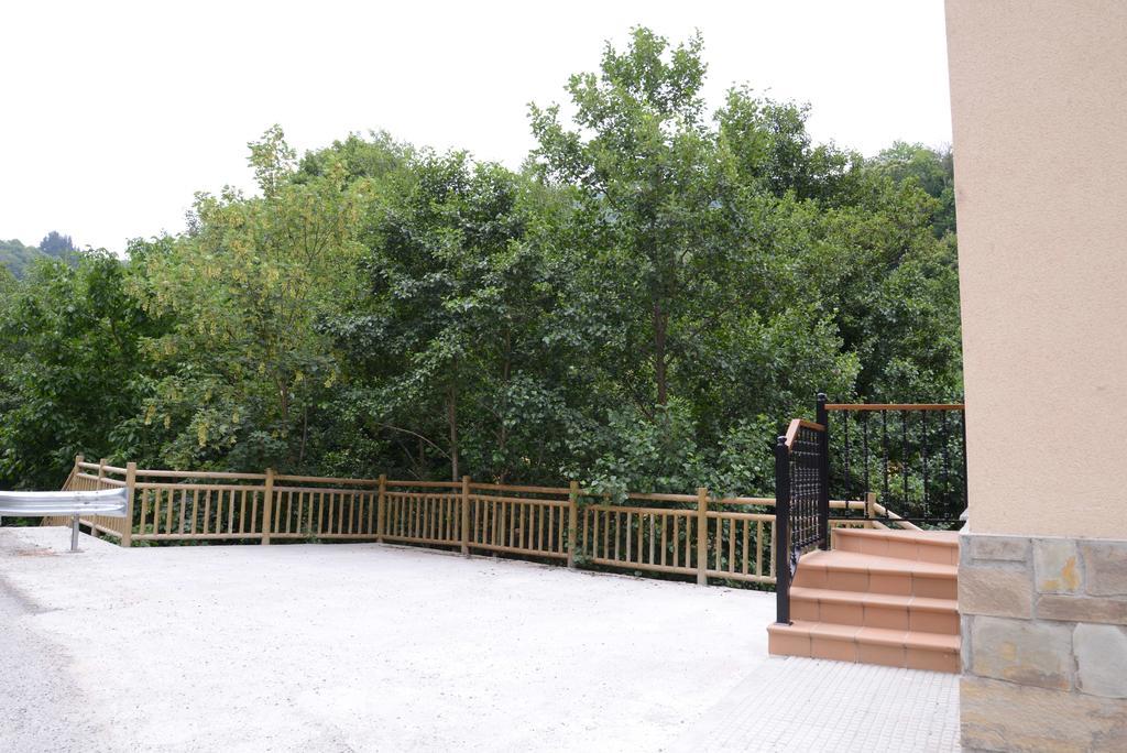 Apartamentos El Rincon De Limes Cangas De Narcea Cameră foto