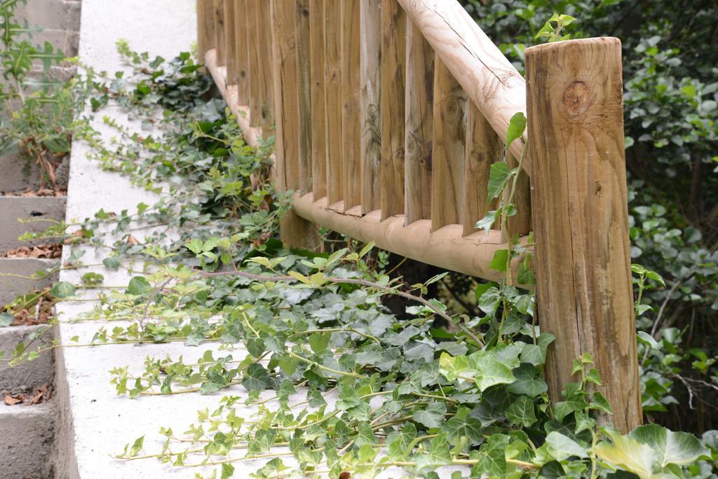 Apartamentos El Rincon De Limes Cangas De Narcea Cameră foto