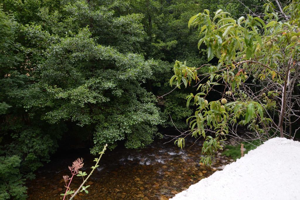Apartamentos El Rincon De Limes Cangas De Narcea Cameră foto
