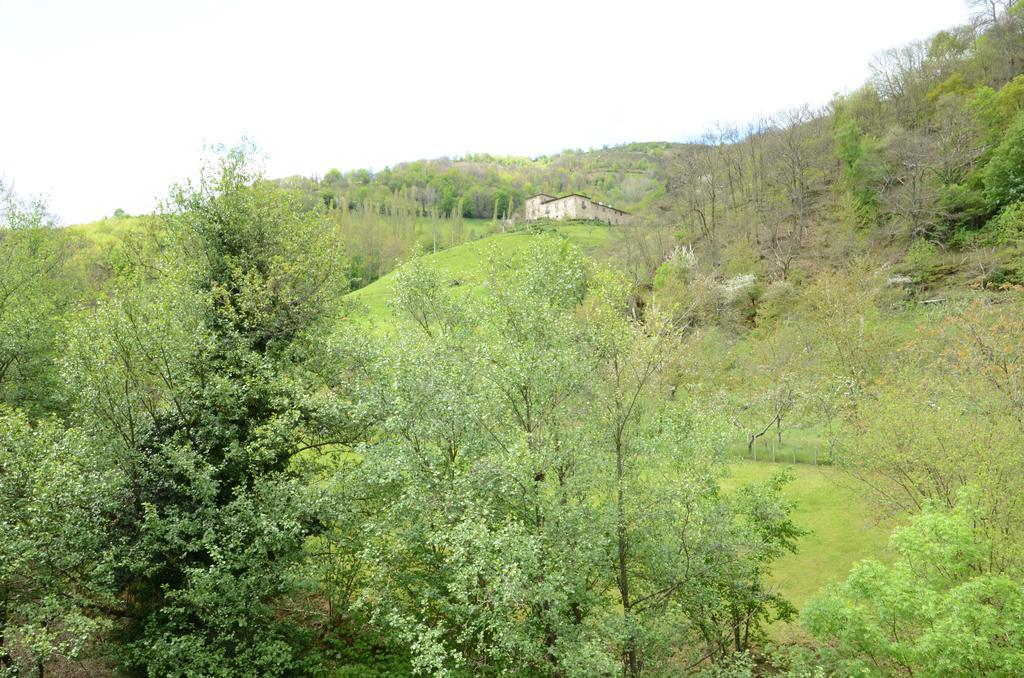 Apartamentos El Rincon De Limes Cangas De Narcea Exterior foto
