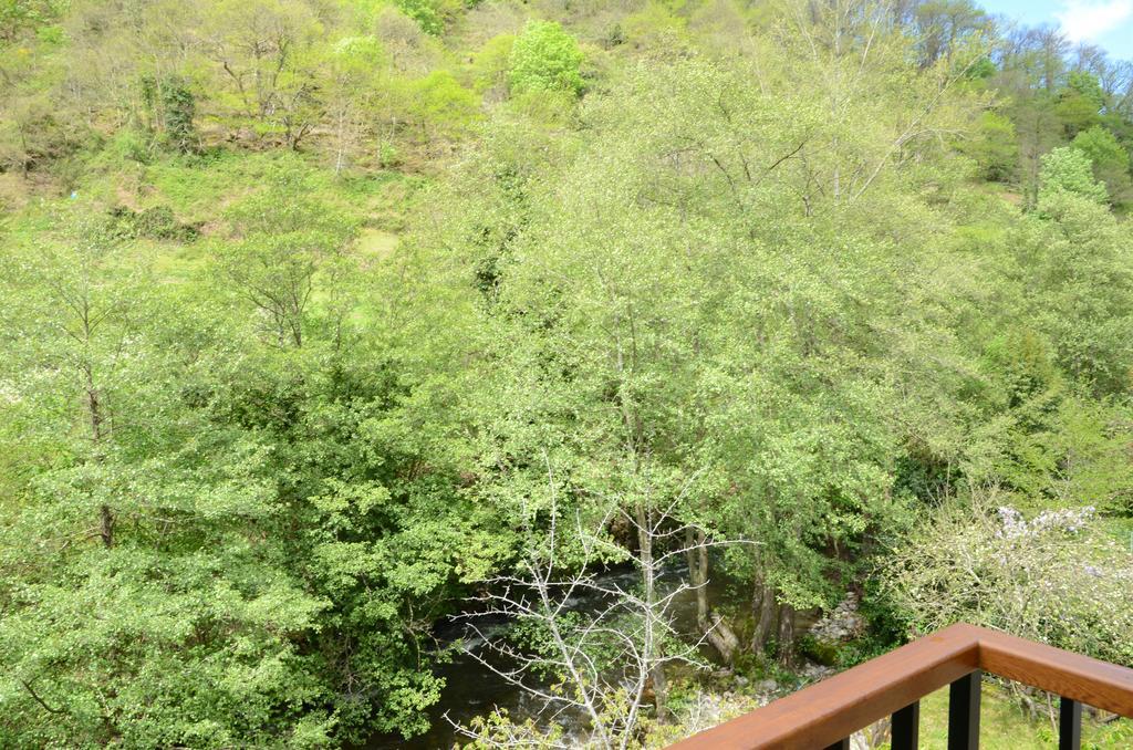 Apartamentos El Rincon De Limes Cangas De Narcea Exterior foto